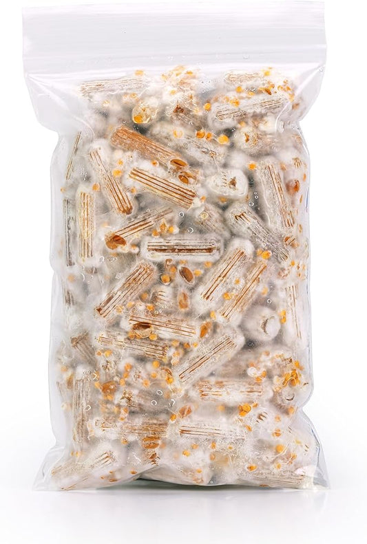 North Spore Organic Italian Oyster (100 ct) Mushroom Plugs for Logs | Premium Quality Mushroom Plug Spawn | Handmade in Maine, USA | Grow Gourmet Mushrooms Outdoors on Logs