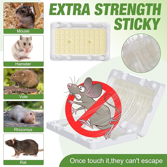 Qualirey 40 Pcs Baited Mouse Glue Traps Indoor for Home Adhesive Plastic Sticky Rat Traps Pads Bulk for House Pest Mice Rats Indoor Outdoor, Simple and Easy to Use (White)