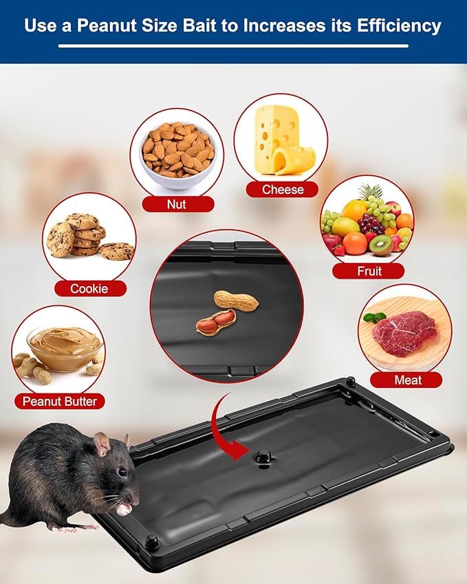 Rat & Mouse Glue Traps 6 Pack, Large Bulk Traps, Indoor for Home, Pre-Scented Adhesive Plastic Tray Inside House, Snake, Mice, Spider Pet Safe