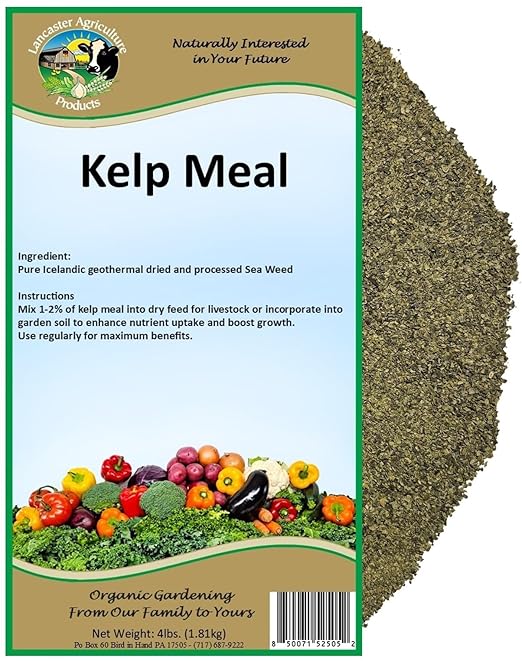 Organic Icelandic Kelp Meal Fertilizer 4 Pounds for Vegetables & Livestock, Nutrient-Rich Sustainable Fertilizer to Boost Health & Growth for Plants & Pets, Lancaster Agriculture Products