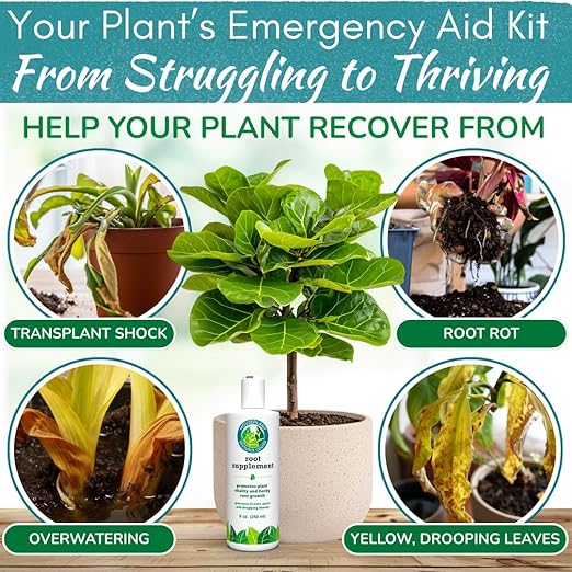 Root Rot Repair for Houseplants – Recovery Drops Root Supplement for Overwatering or Shock | Heals Roots, Prevents Brown Spots & Dropping Leaves (8 oz)