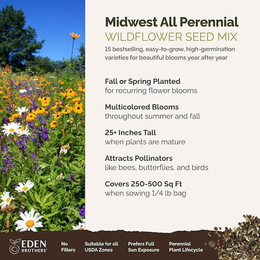 Eden Brothers Midwest All Perennial Wildflower Mixed Seeds for Planting, 1/4 lb, 120,000+ Seeds with Hyssop, Shasta Daisy | Attracts Pollinators, Plant in Spring or Fall, Zones 3, 4, 5, 6, 7, 8, 9, 10
