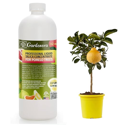 𝐏𝐑𝐎𝐅𝐄𝐒𝐒𝐈𝐎𝐍𝐀𝐋 Liquid Silica Plant Supplement - 32oz - Pomelo Trees Liquid Silica Boost Fertilizer - Stronger Stems & Healthy Leaves for Indoor & Outdoor Pomelo Trees (Makes 180 Gallons)