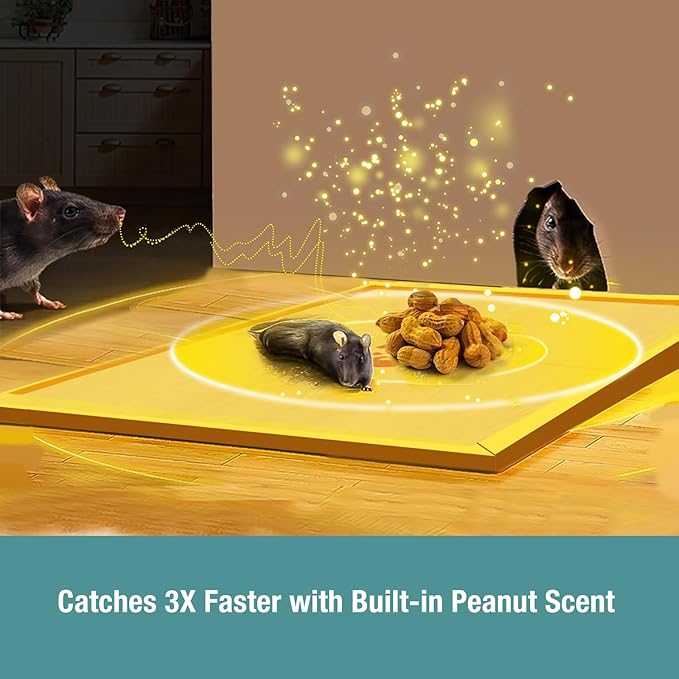 ZingZap Sticky Mouse Traps Glue Boards 13-PK, 3X Faster Catch with Built-in Peanut Scent, Extra-Heavy Fiber Glue Traps for Rats & Mice, Crawling Pests, 100% Biodegradable, Indoors Home & Commercial