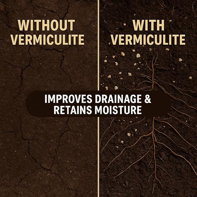 Horticultural Organic Vermiculite for Plants - Medium Grade - Natural Soil Additive for Gardening, Houseplants, Mushrooms, Potted Plants, Hydroponics, Terrariums (1 Quart)