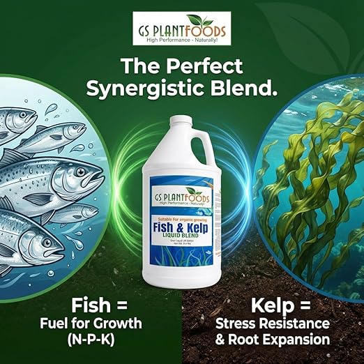GS Plant Foods Liquid Fish & Kelp Fertilizer (275 Gallons) – Organic Material Review Institute Listed Natural Plant Food for Home Gardens, and Vegetables