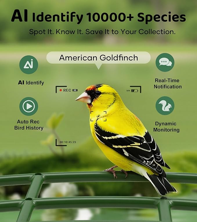 Smart Bird Feeder with Camera - 2.5K HD Night Vision Bird Feeder with Camera Solar Powered, Free AI Identify Auto Video 170° Live View Birds Feeders for Birds Lovers Outdoors(Green)