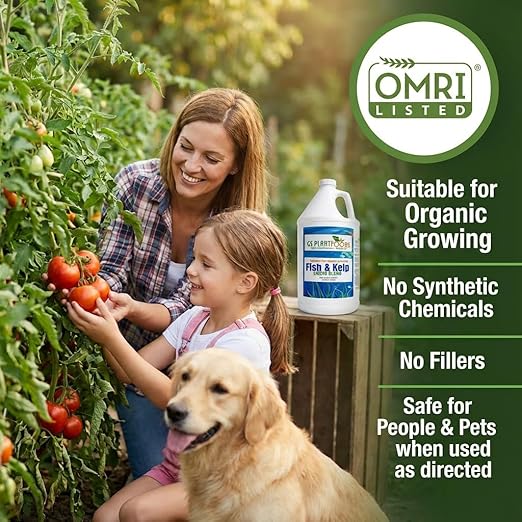 GS Plant Foods Liquid Fish & Kelp Fertilizer (275 Gallons) – Organic Material Review Institute Listed Natural Plant Food for Home Gardens, and Vegetables