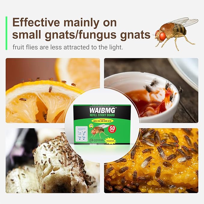 Fruit Fly Trap Covers, Double-Sided Sticky Adhesive Cards for Gnats, Fruit Flies, Moths, Kitchen Insect Control (49 Pcs)