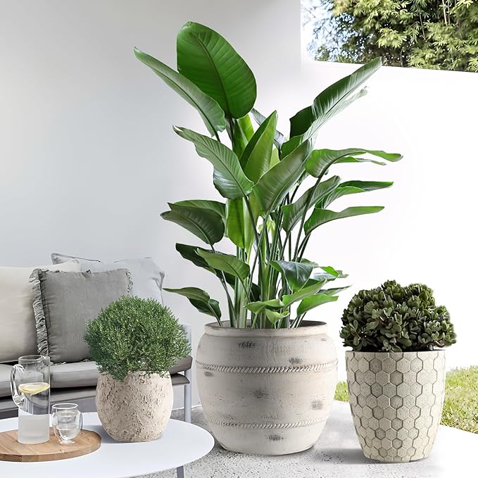 Round Concrete Style Planter Set of 3, Large Outdoor Flower Pots with Drainage, Stone Texture Plant Pots for Indoor Outdoor Garden, Patio & Balcony Décor (3, Stone White)
