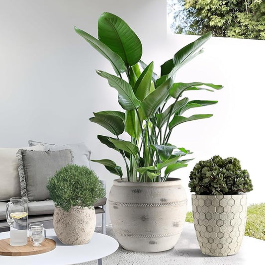 Round Concrete Style Planter Set of 3, Large Outdoor Flower Pots with Drainage, Stone Texture Plant Pots for Indoor Outdoor Garden, Patio & Balcony Décor (3, Stone White)