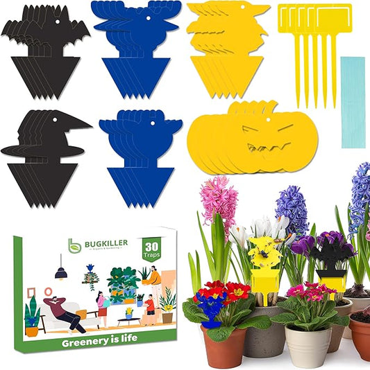 30 Pcs Fruit Fly Traps for Indoors, Fungus Gnat Sticky Traps for Plants, Mosquito Insect Kille Traps for Fruit Flies, Thrips, Aphids, Moths, Whiteflies, 3 Color Phototaxis for Caught Multi Bugs