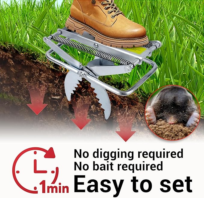 Mole Trap Scissor 2 Pack, Upgraded Mole Traps for Lawns That Kill Best, Galvanized Steel Mole Killer, Easy Step Setup
