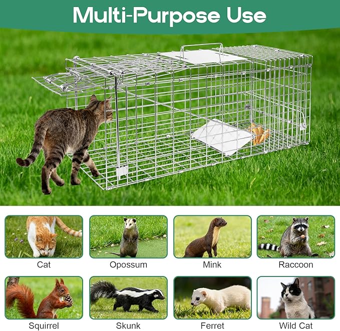 Humane Live Animal Trap Cage 32" × 13" × 11",Heavy-Duty Live Catch Cage for Raccoon, Squirrel, Stray Cats, Groundhogs, Armadillos, Opossums, Rabbits, Skunk, Mole, Small Wildlife Control