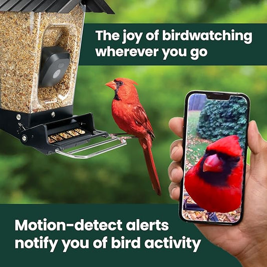 Perky-Pet Solar Powered Smart Bird Feeder with Camera - Squirrel-Resistant, 3.2L Capacity, Motion Activated 1080p HD WiFi Live Stream Camera, SPCAM, SPCAMSLR - Camera Feeder Gift Idea, Red