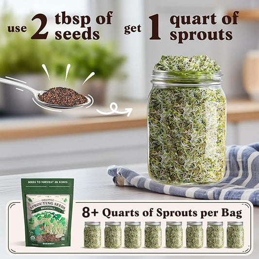 Seedboy Organic Non-GMO Broccoli Seeds for Sprouting - USA Grown Microgreens Sprouting Seeds - 8 oz Bag Makes 8 Quarts / 24 Servings (Di Cicco Broccoli)
