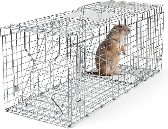 Uablun 31" Live Animal Trap, Heavy Duty Folding Squirrel Traps Outdoor, Humane Catch & Release Cat Trap for Stray Cats, Raccoons, Squirrel, Skunk, Mole, Groundhog, Armadillo, Rabbit