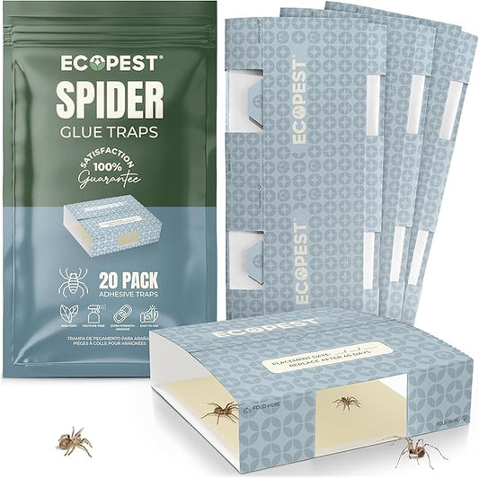 Spider Traps – 20 Pack | Sticky Indoor Glue Trap for Spiders and Other Bugs and Crawling Insects | Adhesive Spider Bait Trap, Monitor, Killer and Detector for Pest Control