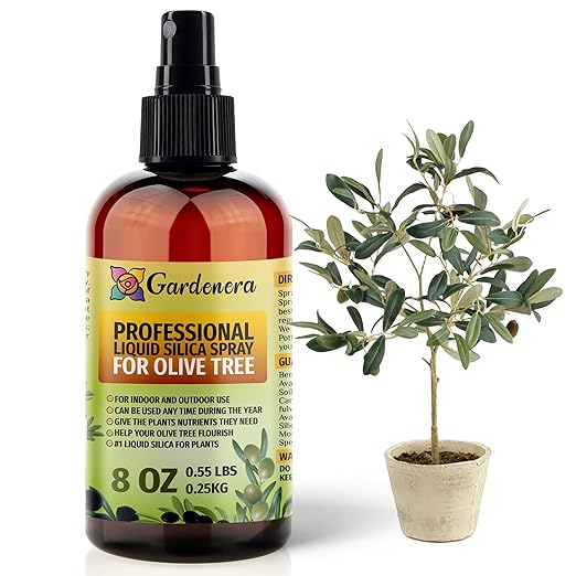 𝐒𝐔𝐏𝐄𝐑𝐈𝐎𝐑 Liquid Silica Boost Fertilizer and Supplement Spray for Olive Tree Plants – Pre-Mixed, Ready-to-Use Liquid Silicon Plant Superfood Mist for Indoor & Outdoor Plants – 8oz