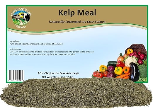 Organic Icelandic Kelp Meal Fertilizer 16 Pounds for Vegetables & Livestock, Nutrient-Rich Sustainable Fertilizer to Boost Health & Growth for Plants & Pets, Lancaster Agriculture Products