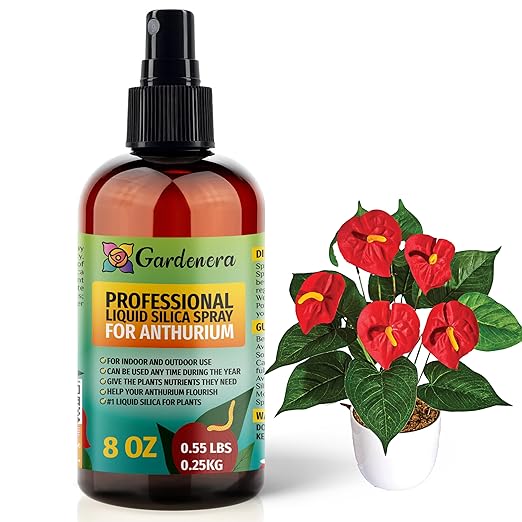 𝐁𝐄𝐒𝐓𝐒𝐄𝐋𝐋𝐄𝐑 Liquid Silica Boost Fertilizer and Supplement Spray for ANTHURIUM Plants - Premium Ready-to-Use Liquid Silicon Plant Superfood Mist for Indoor & Outdoor Anthurium Plants - 8oz