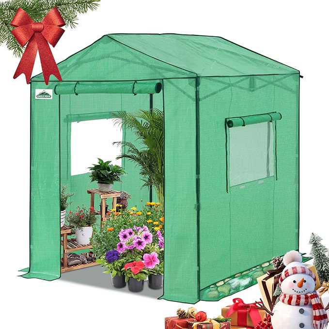 EAGLE PEAK 6x6 Portable Pop Up Greenhouse, Patented Center Lock Easy One Person Setup, Walk-in Outdoor Greenhouse with Gable Roof, Weight Bags, Zippered Doors & Windows, Green