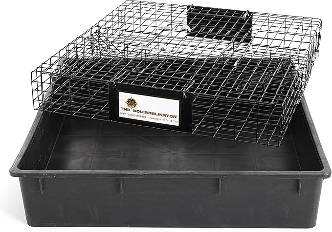 Rugged Ranch 4 Pack Squirrel Traps, Catch & Release Cage, Squirrelinator