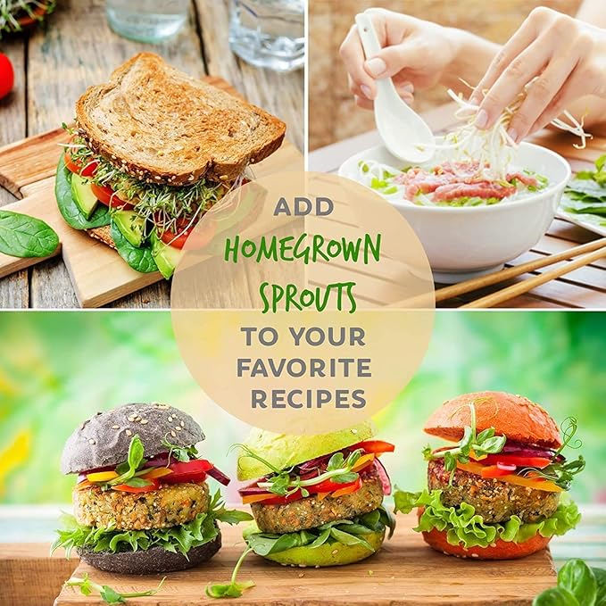 Handy Pantry Broccoli Sprouts Seed Organic- 1 Lb - Non-GMO Organic Broccoli Seeds for Sprouting, Microgreens Sprouting Seeds, Contain Sulforaphane