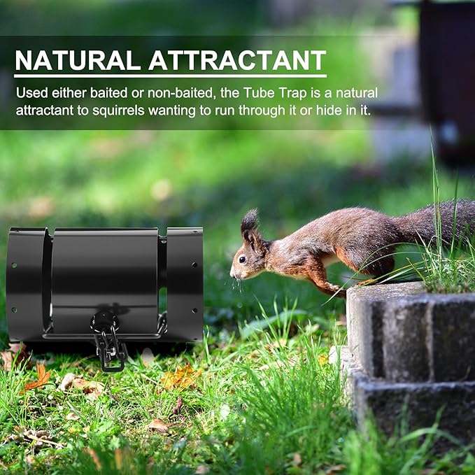 Qualirey Tube Squirrel Trap Rust Resistant Trap 4.5'' in Diameter with a Setting Tongs for Gardens Backyards Patios, Safe and Effective Pest Control Commercial and Residential Use(2 Pcs)