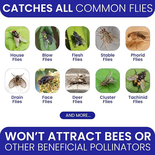 3 Fly Traps Outdoor Fly Trap for Patio with 6 Non-Toxic Dissolvable Bait Refills. Reusable Hanging Bug Catcher Killer for All Filth Flies for Outside Bug Control Yard Ranch. Hanging Chains Included