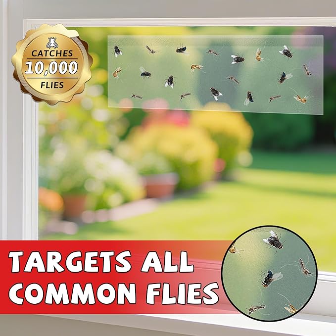 LULUCATCH Window Fly Traps, 24 Pack Fruit Fly Traps for Indoors, Sticky Gnat Traps Fly Catcher, Non-Toxic Flying Insect Trap, Pet Safe Pest Control for Home, Kitchen & Garage
