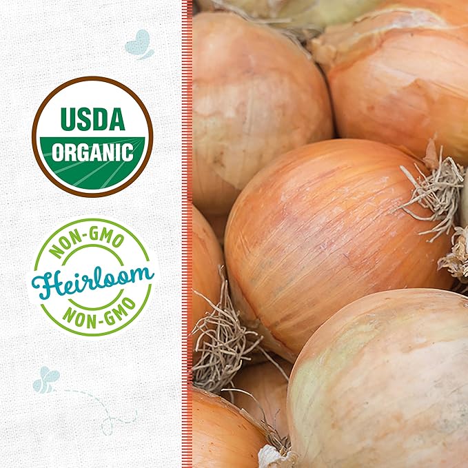 Back to The Roots 100% Organic Heirloom Seeds - Yellow Onion Value Pack (400mg Total)