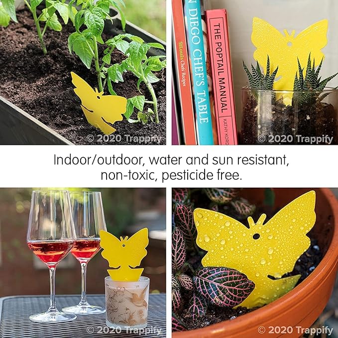Trappify Sticky Gnat Traps for House Indoor - Yellow Fruit Fly Traps for Indoors|Outdoor Plants | Insect Catcher for White Flies, Mosquitos, Fungus Gnats | Disposable Glue Fly Trap Indoor (12 Pack)