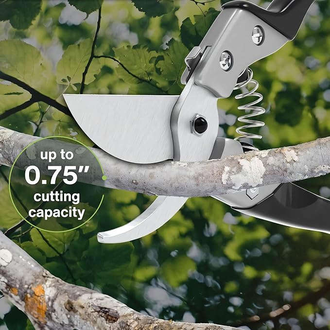 Professional Hand Pruners (Small/Medium) - Ergonomic Non-Slip Garden Shears, Heavy Duty Handheld Plant Trimmer, High Carbon Steel Blades Flower Cutter, Pruning Shears for Gardening and Harvesting
