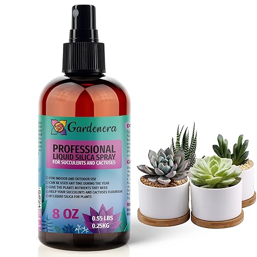 𝐒𝐔𝐏𝐄𝐑𝐈𝐎𝐑 Liquid Silica Boost Fertilizer and Supplement Spray for Succulents and Cacti Plants - Pre-Mixed, Ready-to-Use Liquid Silicon Plant Superfood Mist for Indoor & Outdoor Plants - 8oz