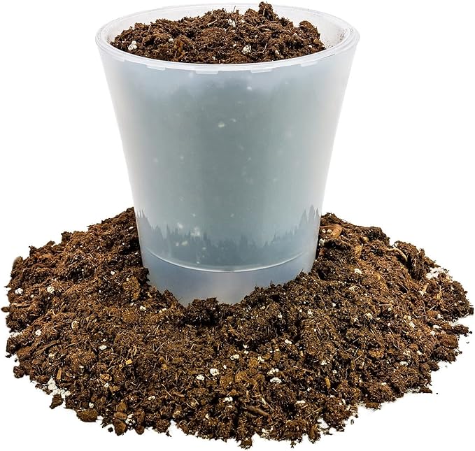 GARDENERA Money Tree Potting Soil Mix for Planting or Repotting Guiana Chestnut, Soil Blended to Properly Grow Money Tree Plants - (1 Quart Bag)