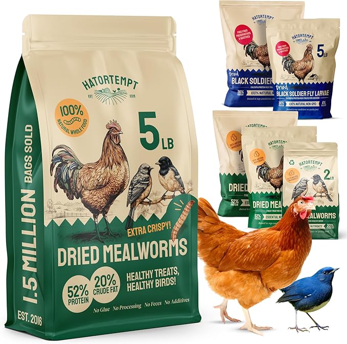 Hatortempt Dried Mealworms - 5 Lb, Non-GMO & Organic - High-Protein Mealworms for Wild Birds & Ducks, Chicken Treats & Bird Food