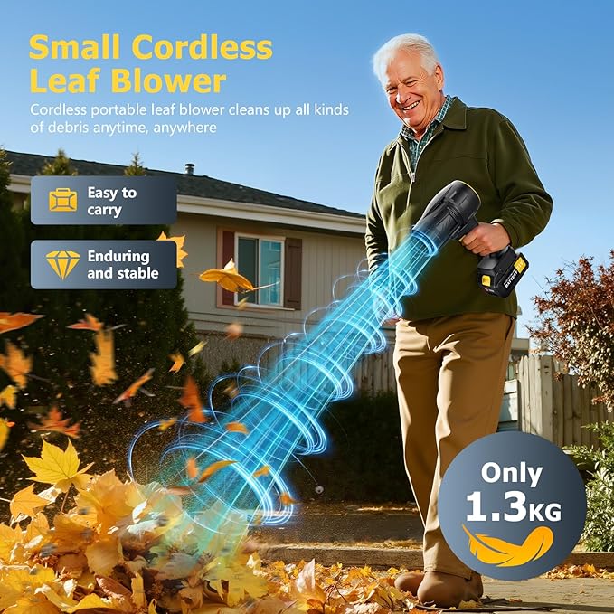 Handheld Leaf Blower Cordless with 2 Battery and Charger, 550CFM Lightweight Electric Cordless Leaf Blowers, 21V Battery Powered Leaves Blowers for Lawn Care, Patio, Car and Dus (Black)