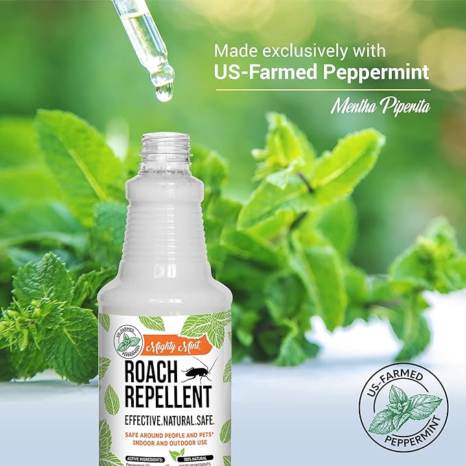 Mighty Mint Peppermint Oil Roach Repellent Spray – Natural Cockroach Killer for Indoor & Outdoor Use – Plant-Based Insect & Pest Control – 16 oz (Pack of 2)