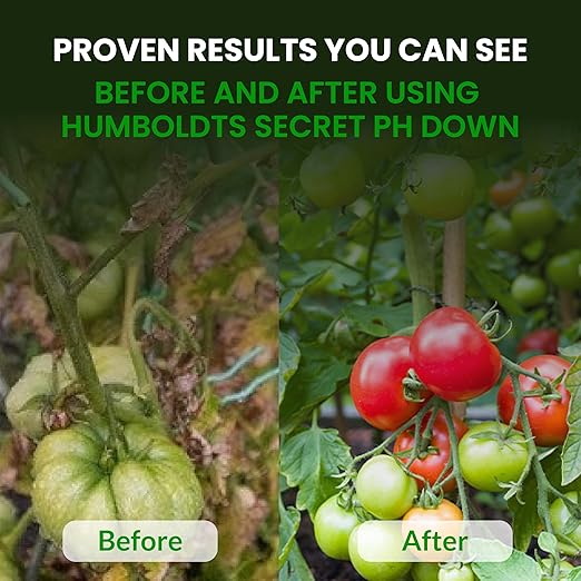 Humboldts Secret pH Down for Plants | Liquid pH Adjuster and Balancer for Soil Coco Hydroponics | Concentrated Phosphoric Acid Solution Supporting Nutrient Uptake and Strong Growth | 2.5 Gallon