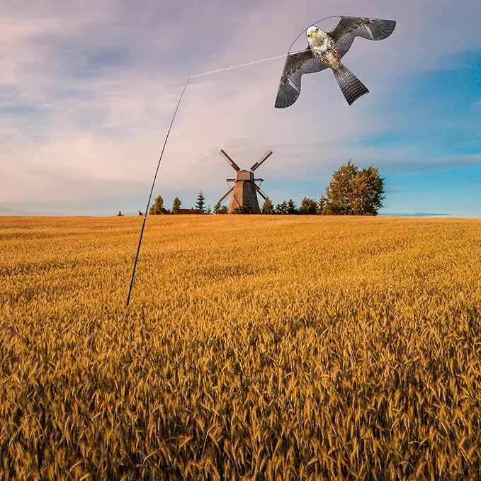 Bird Hawk Flying Kite for Crops Farm Protector Bird Scarer Kites Without Pole-Style B Kite