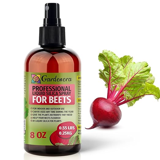 𝐒𝐔𝐏𝐄𝐑𝐈𝐎𝐑 Liquid Silica Boost Fertilizer and Supplement Spray for Beets Plants – Pre-Mixed, Ready-to-Use Liquid Silicon Plant Superfood Mist for Indoor & Outdoor Plants – 8oz