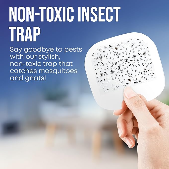 EverOne Fly Trap Indoor Plug-in Device with 3 Glue Cards – Effective Flying Insect Trap for Home – Bug Catcher and Mosquito Killer – Sticky Trap for Flies, Gnats, Fruit Flies, and Moths