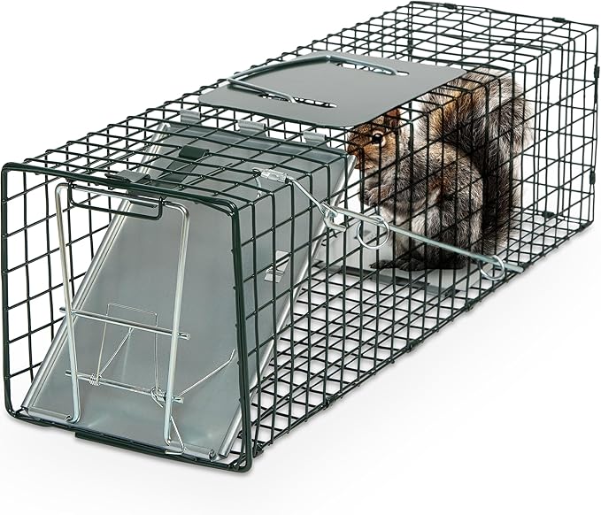 Humane Way Sentinel 24 Inch Live Animal Trap - No Assembly Required - Safe Small Traps for All Animals - Cat, Squirrel, Rabbit, Rodent - 24" L x 7.5" W x 7.5" H