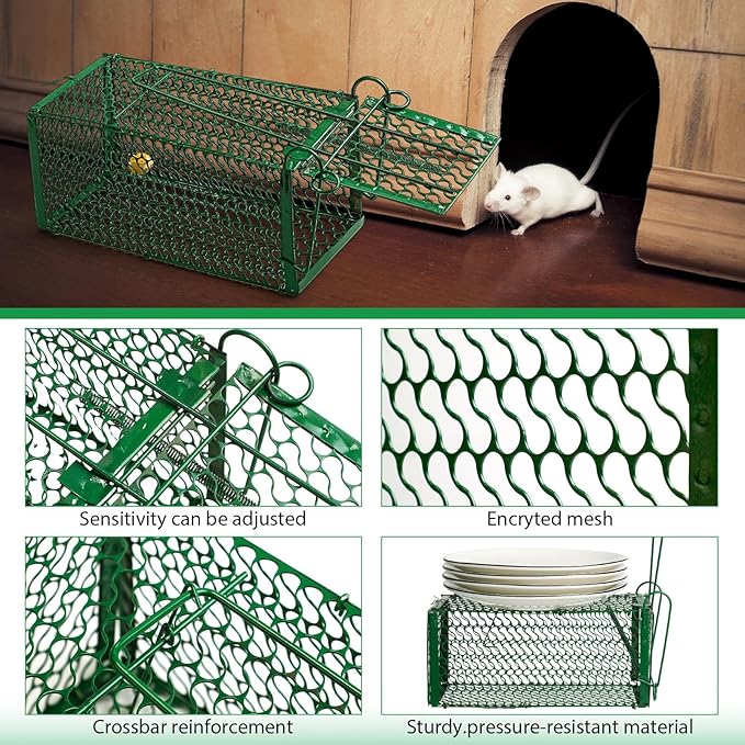 Qualirey 10 Pcs Humane Rat Trap Chipmunk Squirrel Cage Trap Foldable Rodent for Small Live Animal Voles Hamsters Catch and Release for Kitchen Yard Garage Indoors Outdoors (Green)