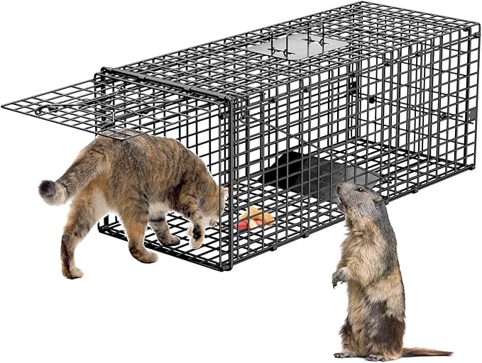 Live Humane Animal Trap, 32" x 11" x 12" Heavy Duty Humane Animal Cage Trap Catch and Release, Foldable Cat Trap for Stray Cats, Raccoons, Groundhogs, Opossums, Armadillos, and Similar-Sized Animals