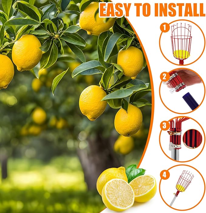Lasnten 3 Set Fruit Picker Pole Tool with Basket Long Handle 22.5 ft Adjustable Apple Picker Tool Fruit Pick Equipment for Avocado Acorn Lemon Oranges Pear Mango Picking