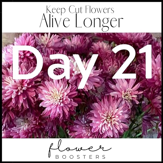 Flower Boosters Fresh Cut Flower Food – Longer-Lasting Blooms & Extended Vase Life – Flowers Last Up to 20 Days – 12.5 oz Value Size