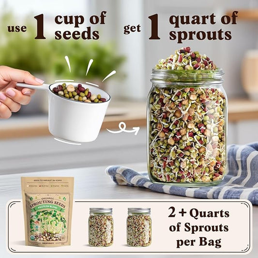 Seedboy Organic Non-GMO Sprouting Seeds, Protein Blend – USA Grown Microgreens Mix with Garbanzo, Mung Bean, Adzuki Beans, Green Pea - 8 oz Bag Makes 2 Quarts / 12 Servings (Protein Blend)