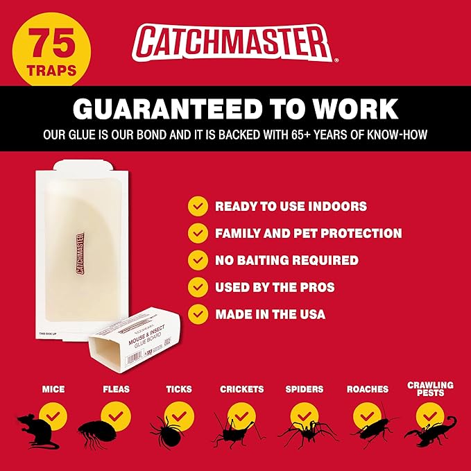 Catchmaster Small Mouse and Insect Glue Boards, 75-Pack Mouse Traps Indoor for Home, Sticky Pest Control Adhesive for Catching Bugs, Rats & Rodents, Bulk Glue Traps